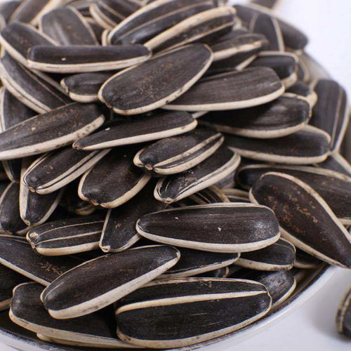 生瓜子與葵花籽 五香、焦糖、原味的多樣風味選擇